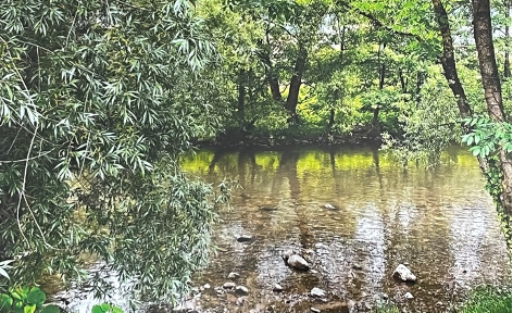 Frisches Wasser, klare Köpfe: Projekt der Berufsfachschüler*innen des BSZ Waldkirch ausgezeichnet